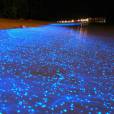  &nbsp;Glowing Beach, Maldivas. D&aacute; impres&atilde;o que colocaram diversas luzes azul no ch&atilde;o 