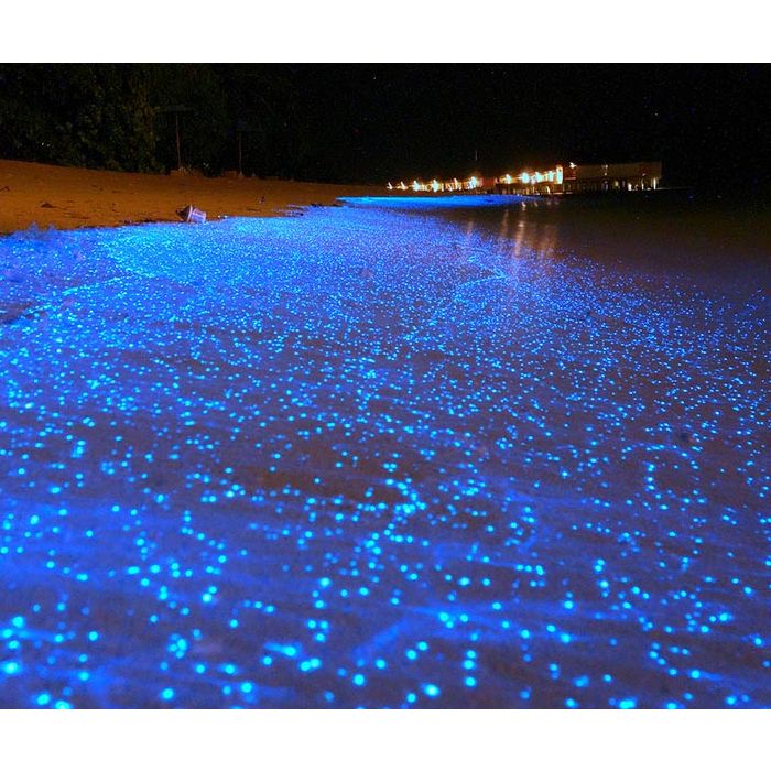  &amp;nbsp;Glowing Beach, Maldivas. D&amp;aacute; impres&amp;atilde;o que colocaram diversas luzes azul no ch&amp;atilde;o 