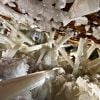 Naica Mine, Mexico. Não é um cenário de superprodução!