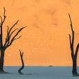  Namib Desert, Namibia. Muita gente acha que &eacute; uma pintura, mas &eacute; uma foto de verdade!&nbsp; 