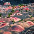  Painted Dunes, Lassen Volcanic National Park, EUA. Inacredit&aacute;vel!&nbsp; 
