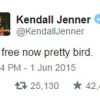 Kendall Jenner publicou uma bela mensagem em seu Twitter após a aparição de Caitlyn Jenner