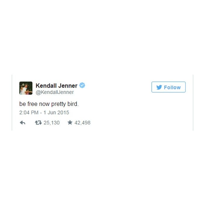  Kendall Jenner publicou uma bela mensagem em seu Twitter ap&amp;oacute;s a apari&amp;ccedil;&amp;atilde;o de Caitlyn Jenner 