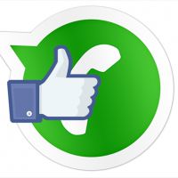 Whatsapp pode ganhar botão "like" igual do Facebook em próximas versões do aplicativo!