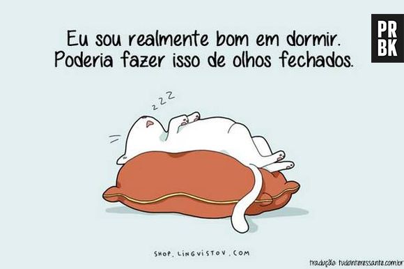 Uma disputa entre os mais dorminhocos seria acirrada!