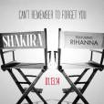 A dupla de divas Shakira e Rihanna fazem dueto na música ""Can't Remember To Forget You"