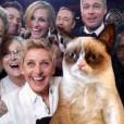 tem espaço para todos os memes da internet na foto do Oscar, até para esse gato