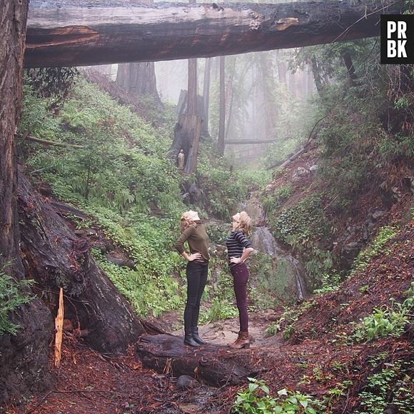 Taylor Swift e Karlie Kloss em parque ecológico na Califórnia, nos EUA