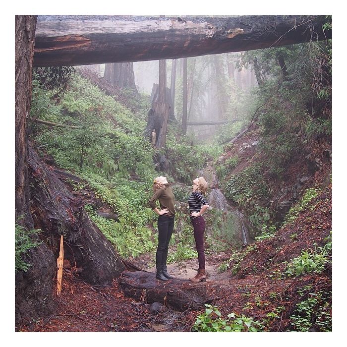 Taylor Swift e Karlie Kloss em parque ecológico na Califórnia, nos EUA