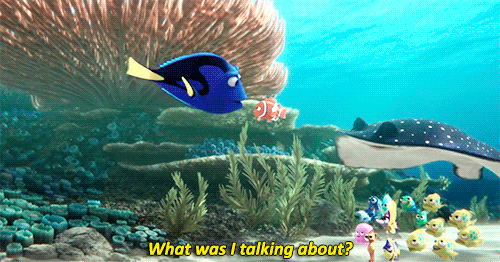 Você se identifica com a Dory, de "Procurando Dory" e "Procurando Nemo"? Confira!