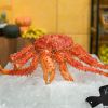 Valendo uma vaga na final do "MasterChef Brasil", Raquel e Bruna prepararam um king crab