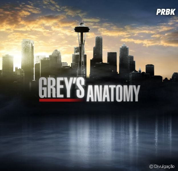 Grey's Anatomy está há 13 temporadas fazendo sucesso com uma trilha sonora impecável!