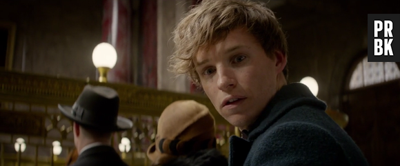 Várias prévias de "Animais Fantásticos e Onde Habitam", spin-off de "Harry Potter", foram liberadas antes de seu lançamento