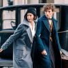 "Animais Fantásticos e Onde Habitam" tem direção de David Yates