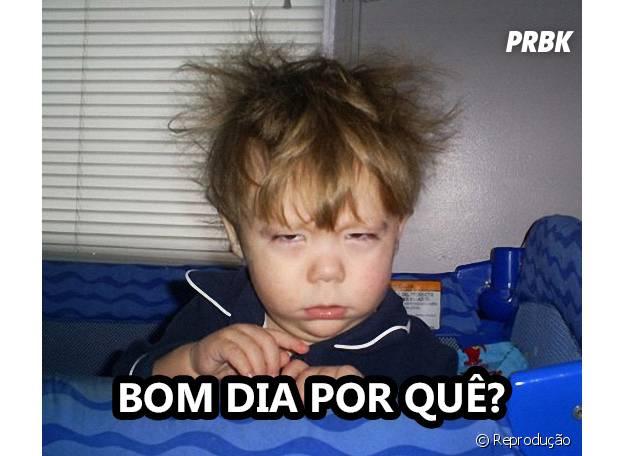 Os 40 memes mais engraçados da semana  Memes engraçados, Engraçado, Frases  engraçadas de filmes