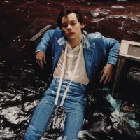 Harry Styles não fará shows extras no Brasil e fãs se decepcionam com a notícia