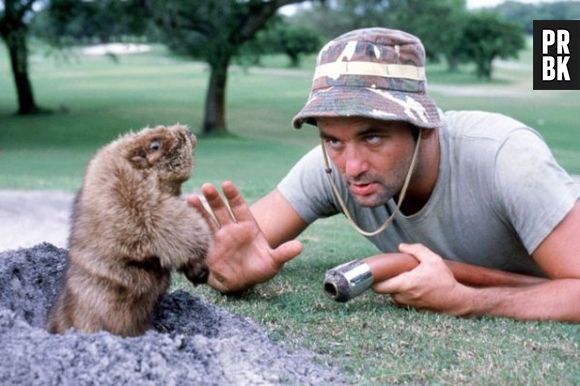 Bill Murray coleciona fatos inusitados