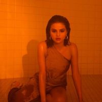 Selena Gomez divulga trecho de "Wolves" e nova foto promocional!