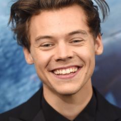 Harry Styles se emociona ao descobrir que inspirou fã a se assumir gay