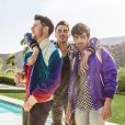Jonas Brothers passam por detector de mentiras no "Carpool Karaoke"