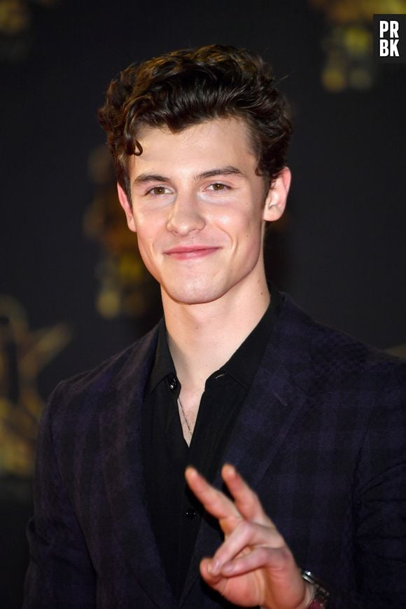 Shawn Mendes revela que o veremos em um filme antes mesmo do que a gente imagina