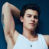 Tudo indica que falta pouco para vermos Shawn Mendes nos cinemas