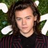 Cinebiografia de Elvis Presley pode ter Harry Styles no papel principal
