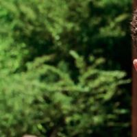 A 10ª tempora da de "The Walking Dead" já vai começar difícil, segundo ator