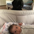 Clara Maria, filha de Rafa Vitti e Tatá Werneck, já tem um melhor amigo: Gato, o cachorro da família