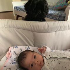 Clara Maria, filha de Rafa Vitti e Tatá Werneck, já tem um melhor amigo: Gato, o cachorro da família