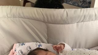 Clara Maria, filha de Rafa Vitti e Tatá Werneck, já tem um melhor amigo: Gato, o cachorro da família