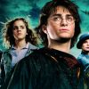 Faça este teste e descubra se você lembra o nome das criaturas mágicas de "Harry Potter"
