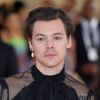 Harry Styles: adivinhe qual é a música neste quiz