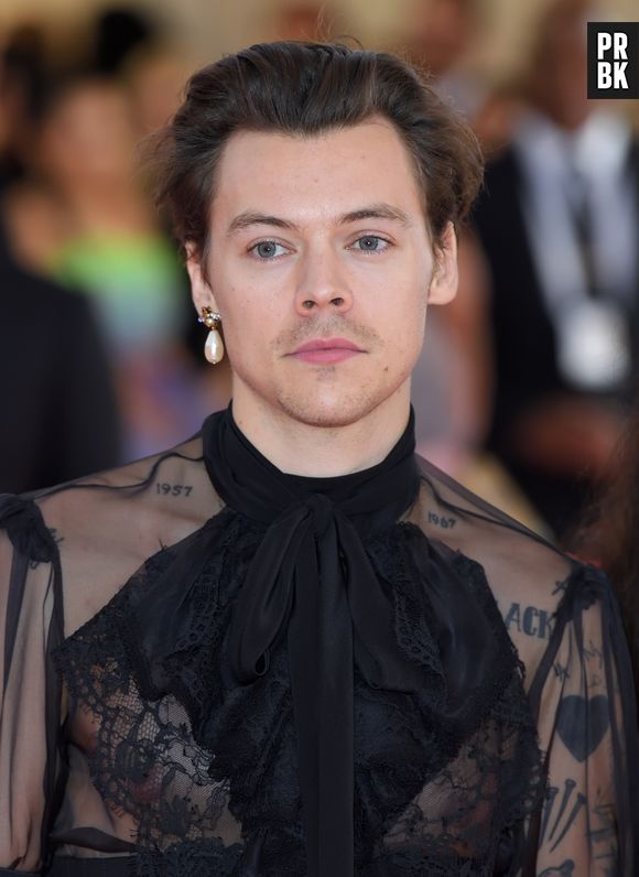 Harry Styles: adivinhe qual é a música neste quiz