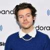 Harry Styles: cantor faz aniversário nesta segunda (1)