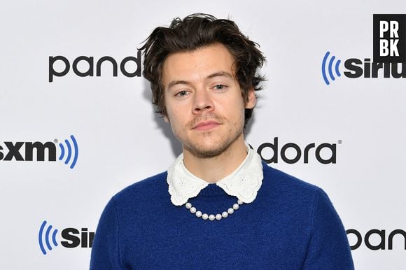 Harry Styles: cantor faz aniversário nesta segunda (1)