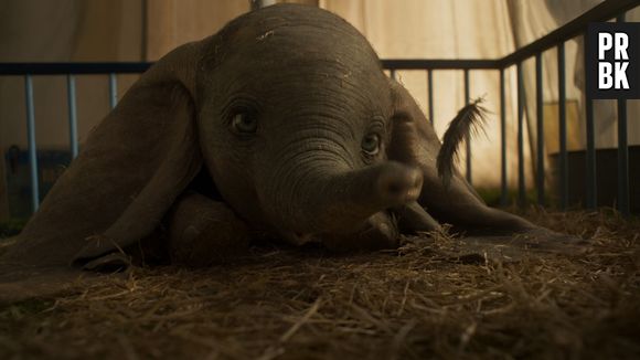 Quiz Disney: o live-action de "Dumbo" foi lançado em 2019, mas não agradou muito o público