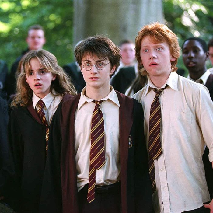 &quot;Harry Potter&quot;: filmes da saga estarão disponíveis na HBO Max