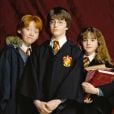 "Harry Potter": adivinhe qual é o filme da saga apenas pela cena neste quiz