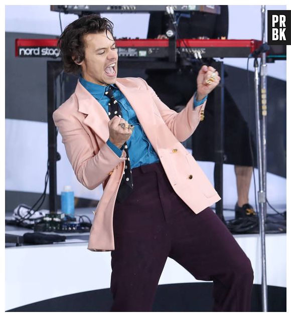 Harry Styles colocou a segurança dos fãs e da equipe como prioridade e precisou adiar a sua turnê "Love On Tour"