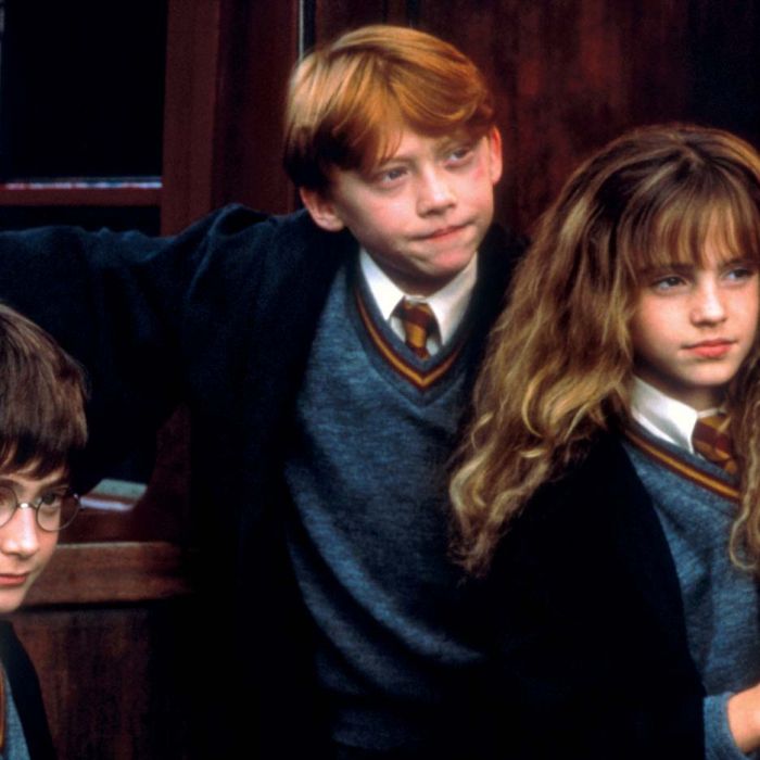   &quot;Harry Potter&quot;: Hermione quase teve uma irmã mais nova na saga de livros  