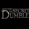 A Waner Bros. revelou que o 3º filme da franquia "Animais Fantásticos" se chamará "Os Segredos de Dumbledore"