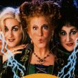     No Halloween, descubra qual das bruxas do filme "Abracadabra" você é!     