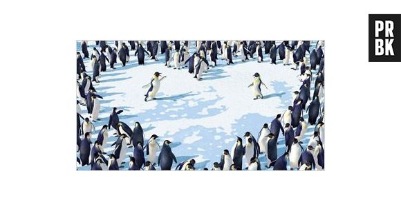 A vibe de "Happy Feat" e suas canções encantou o mundo inteiro. E merecidamente foi o mais votado pela academia em 2007. 