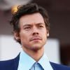 "Don't Worry Darling": Harry Styles se envolveu em uma grande polêmica ao gravarem um vídeo seu supostamente cuspindo no seu colega de elenco, Chris Pine