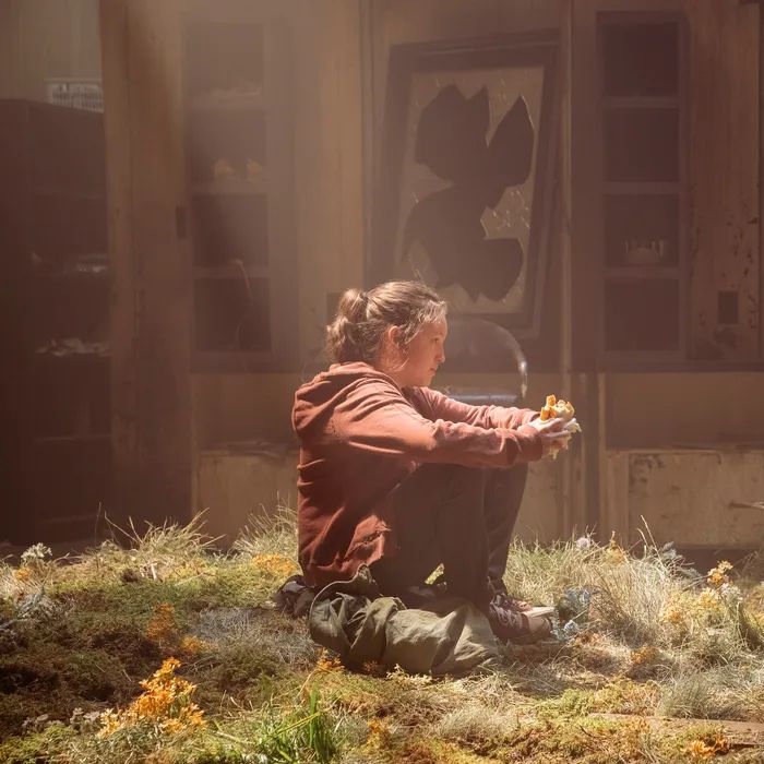 Série &quot;The Last of Us&quot; enfrenta pedidos de cancelamento após anúncio da segunda temporada