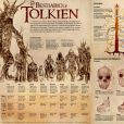 O Bestiário de Tolkien e as criaturas da Terra Média, ilustradas em uma infografia fantástica