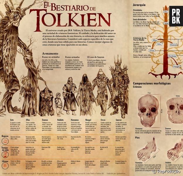 O Bestiário de Tolkien e as criaturas da Terra Média, ilustradas em uma infografia fantástica