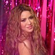 Shakira criou uma coleção de hits ao longo de sua carreira