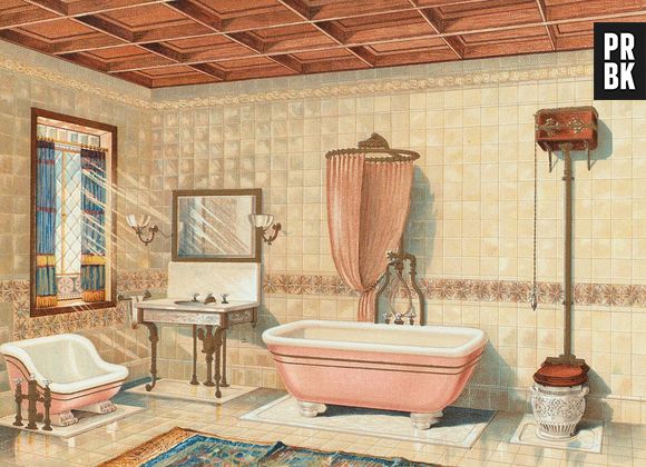 A ciência responde: Quantas vezes é necessário lavar o banheiro semanalmente?